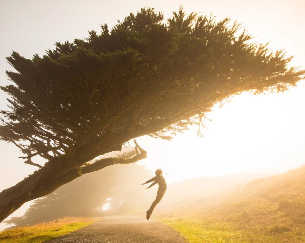 A person leaps into the air on a sunlit rural path beneath a dramatically wind-bent tree, its branches sweeping sideways in strong gusts, capturing a moment of freedom, movement, and resilience against the force of nature.